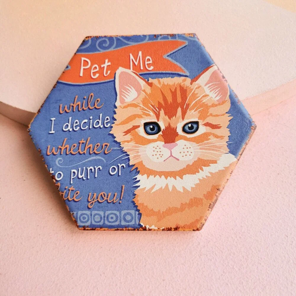 Playful Pet Me Ginger Cat Blue Ceramic Coaster